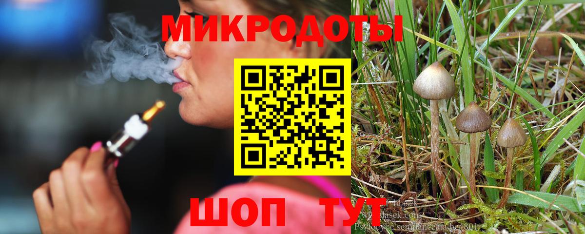 купить закладку  Вход с VPN  Галлюциногенные грибы Psilocybine cubensis  Сургут  Псилоцибиновые грибы GOLDEN TEACHER 