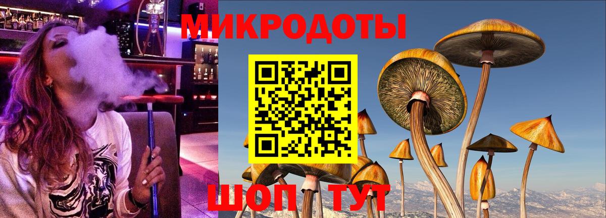 Псилоцибиновые грибы Psilocybine cubensis Сургут