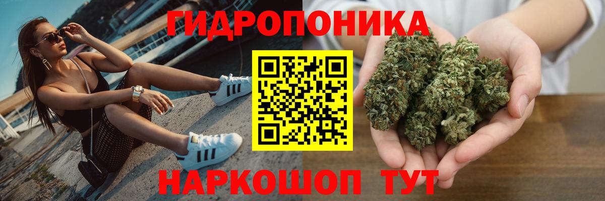 Сургут  Каннабис индика  Каннабис Amnesia  Вход с VPN  Шишки марихуана семена  Канабис план 
